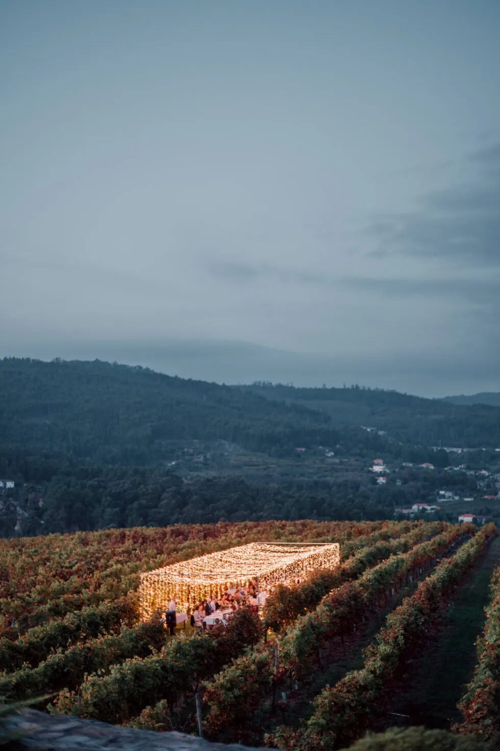 Vineyard reception dinner during an intimate destination wedding in the Douro Valley, Portugal