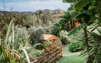 Glamping in Northern Portugal: A Cozy Escape for Couples, Families & Honeymoons